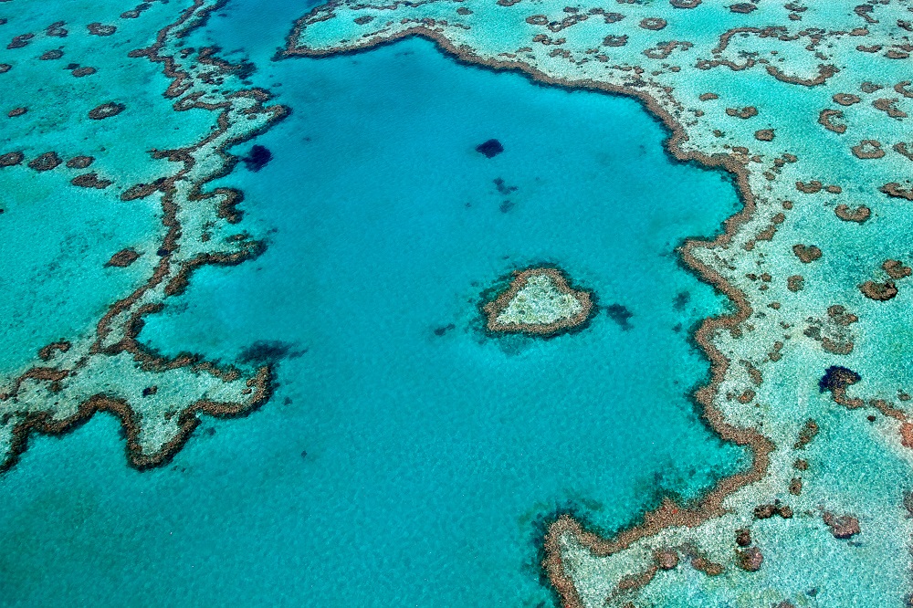 australia-barriera-corallina-2