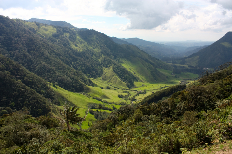 Landscape of Cocora valley